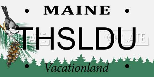 THSLDU Maine License Plate