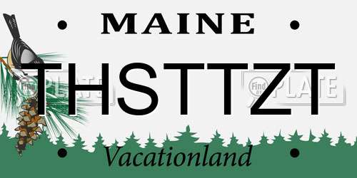 THSTTZT Maine License Plate