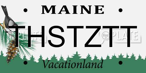 THSTZTT Maine License Plate