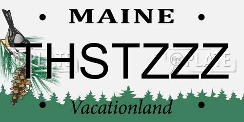 THSTZZZ Maine License Plate