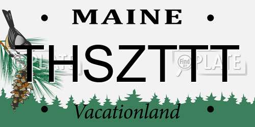THSZTTT Maine License Plate