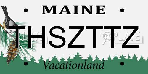 THSZTTZ Maine License Plate
