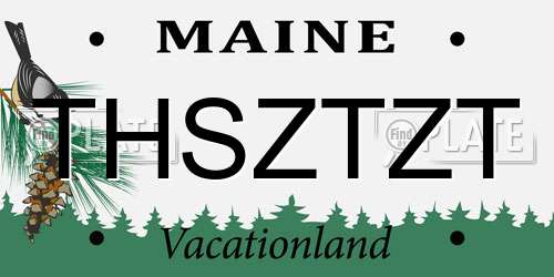THSZTZT Maine License Plate