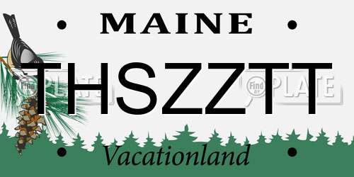 THSZZTT Maine License Plate