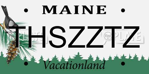 THSZZTZ Maine License Plate