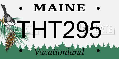 THT295 Maine License Plate
