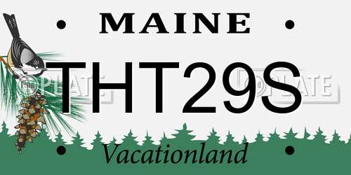 THT29S Maine License Plate