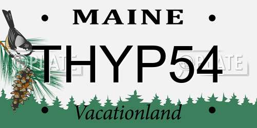 THYP54 Maine License Plate