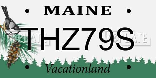 THZ79S Maine License Plate