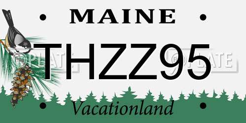 THZZ95 Maine License Plate