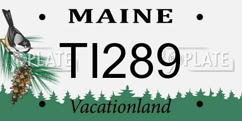 TI289 Maine License Plate
