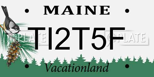 TI2T5F Maine License Plate