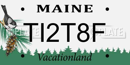 TI2T8F Maine License Plate