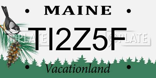 TI2Z5F Maine License Plate