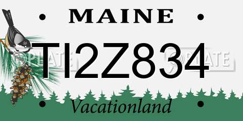 TI2Z834 Maine License Plate