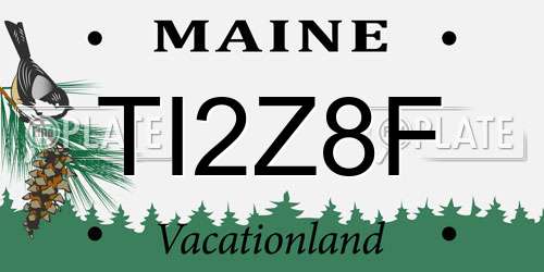 TI2Z8F Maine License Plate