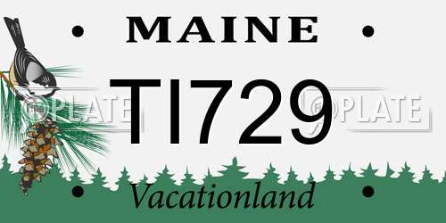 TI729 Maine License Plate