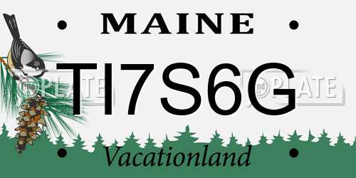 TI7S6G Maine License Plate