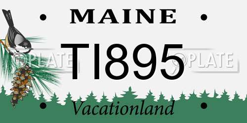 TI895 Maine License Plate