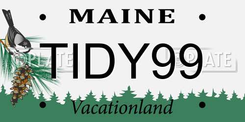 TIDY99 Maine License Plate