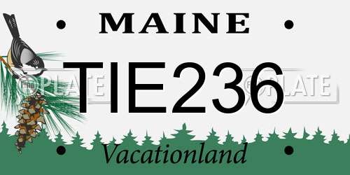 TIE236 Maine License Plate