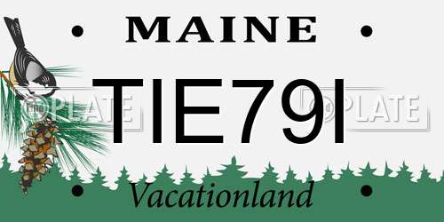 TIE79I Maine License Plate