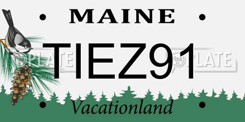 TIEZ91 Maine License Plate
