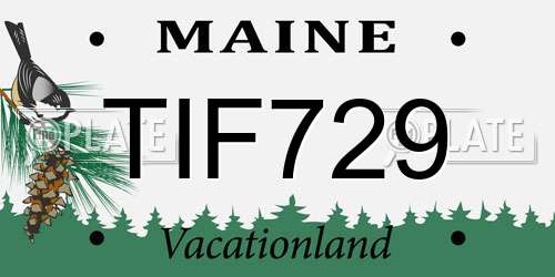 TIF729 Maine License Plate