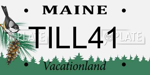 TILL41 Maine License Plate
