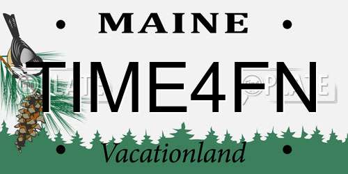 TIME4FN Maine License Plate