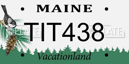 TIT438 Maine License Plate