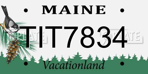 TIT7834 Maine License Plate