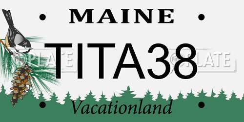 TITA38 Maine License Plate