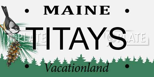 TITAYS Maine License Plate