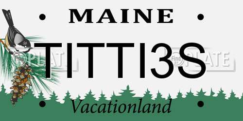 TITTI3S Maine License Plate