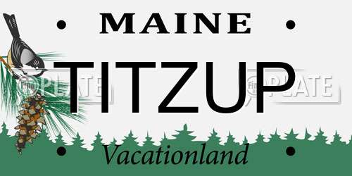 TITZUP Maine License Plate