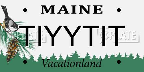TIYYTIT Maine License Plate