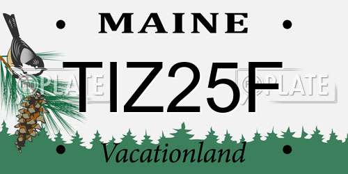 TIZ25F Maine License Plate