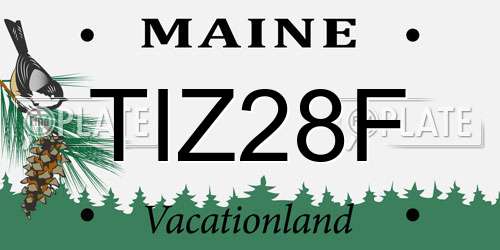 TIZ28F Maine License Plate