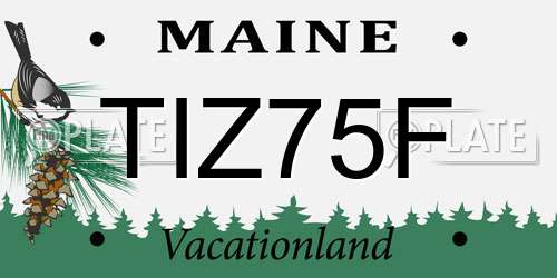 TIZ75F Maine License Plate