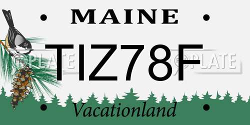 TIZ78F Maine License Plate