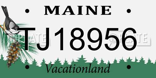 TJ18956 Maine License Plate