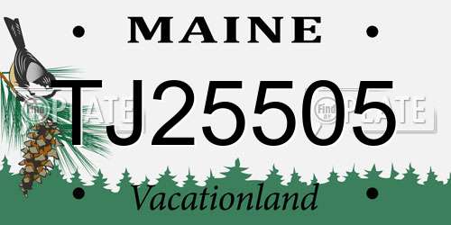 TJ25505 Maine License Plate