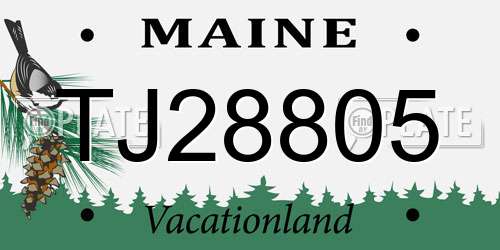 TJ28805 Maine License Plate