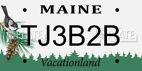 TJ3B2B Maine License Plate