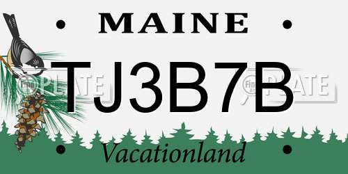 TJ3B7B Maine License Plate