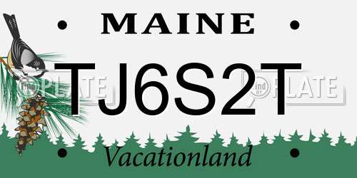 TJ6S2T Maine License Plate