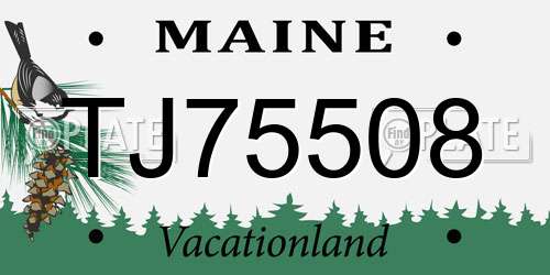 TJ75508 Maine License Plate