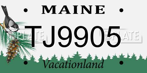TJ9905 Maine License Plate
