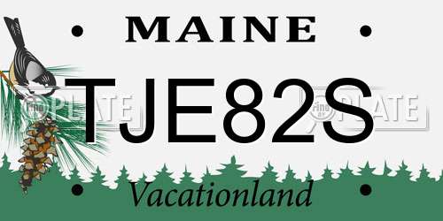 TJE82S Maine License Plate